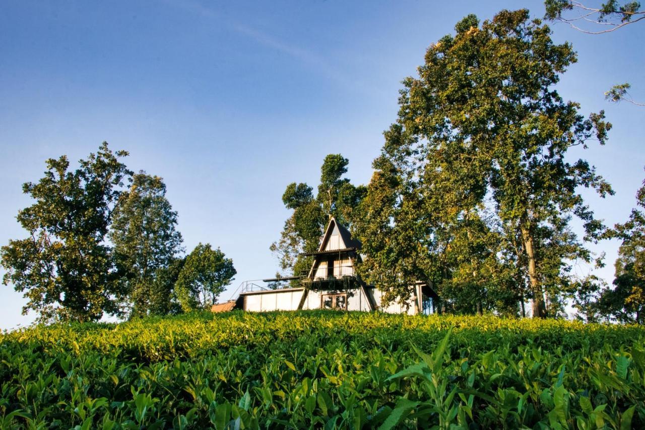The Backyard Balangoda Zewnętrze zdjęcie